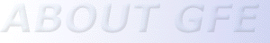 About GFE LLC